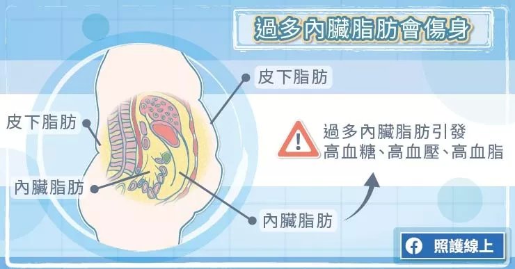 体脂称什么原理测内脏脂肪_内脏脂肪