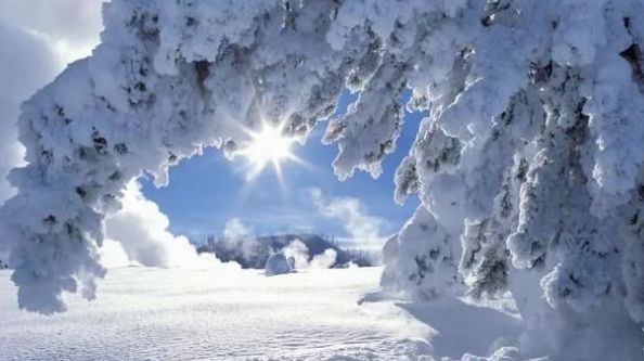 拍照如何摆姿势拍雪景 be118dee6eb84d1c9e3e06c2bb95da99.jpeg