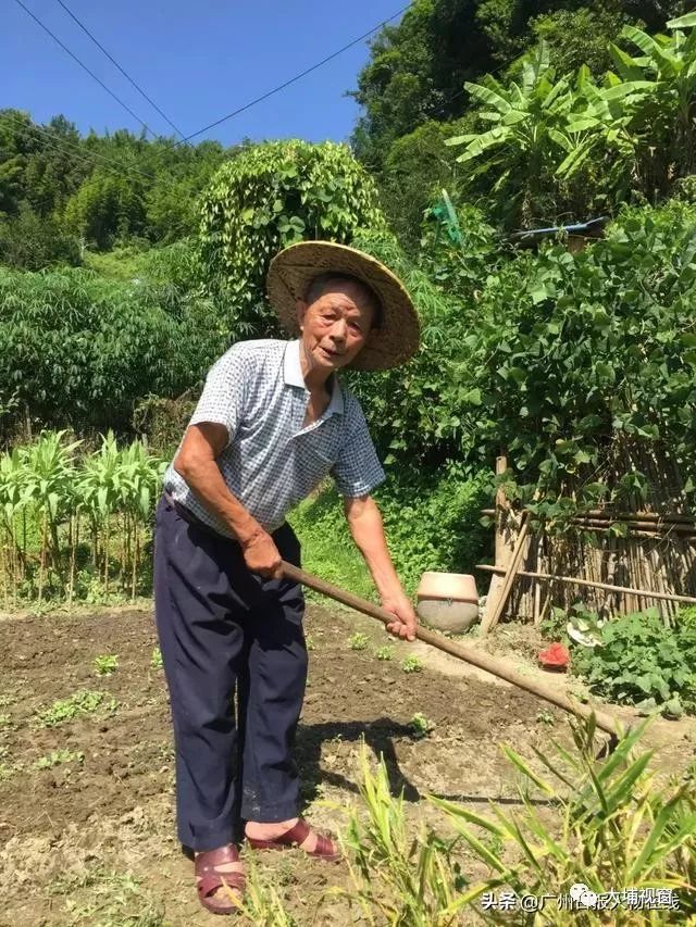 刘树兴留守的富邦村民小组,地处梅州的大山深处,位置