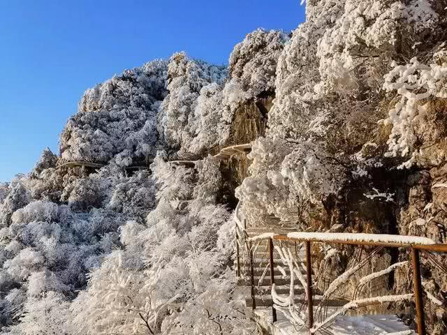 巴山县人口_巴山夜雨图片