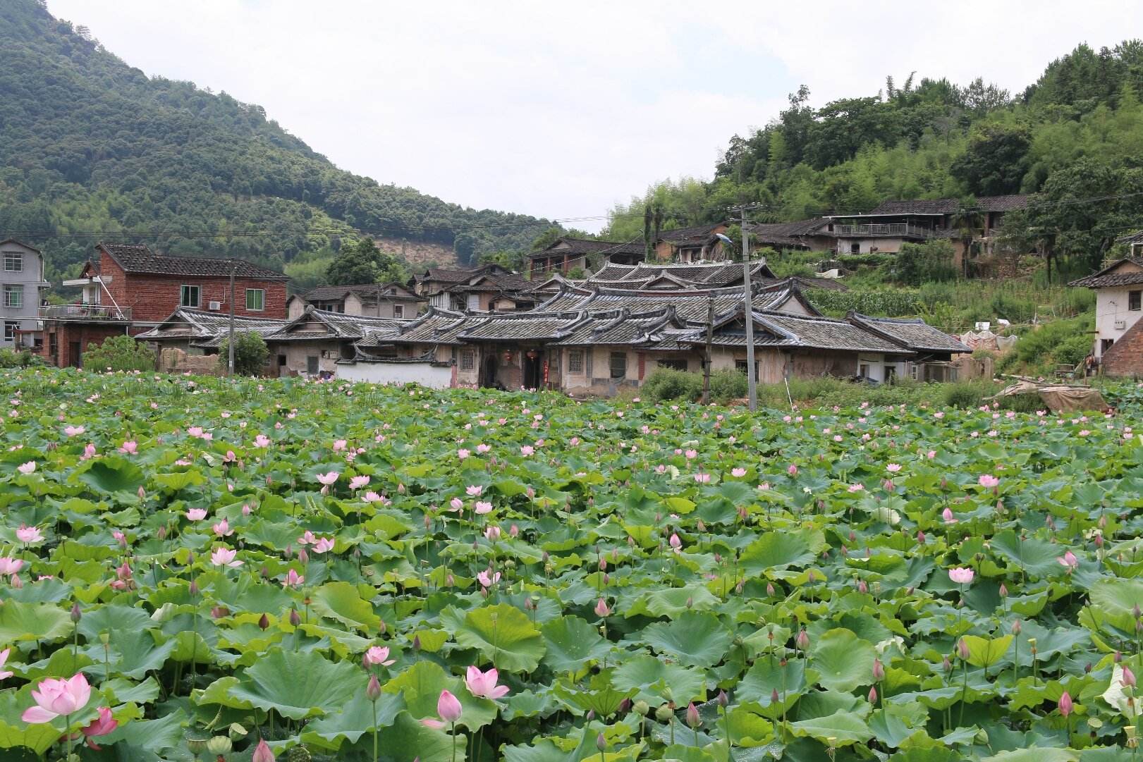 惠安人口常住_常住人口登记卡(3)