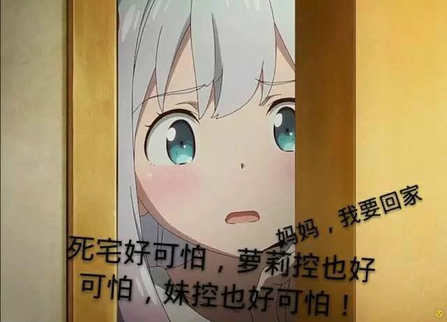 d13068d4785148a8831874da1dfcc6cf.jpeg