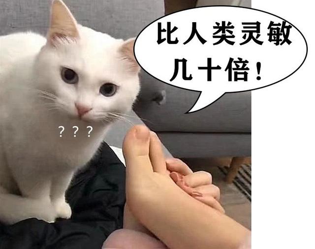 d328911232ab4b639982dea764c3b3f8.jpeg