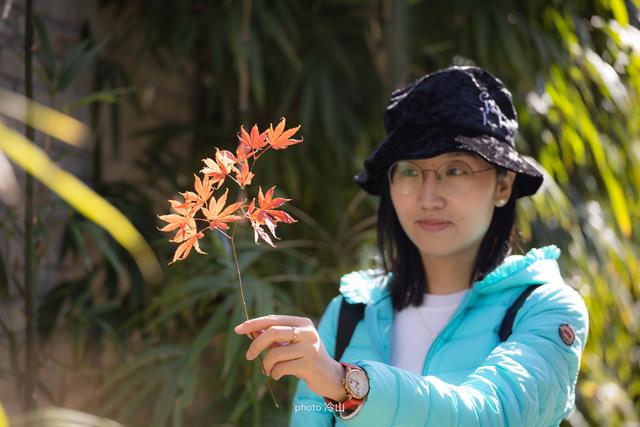 福州冬日赏秋，皇帝洞徒步4小时记