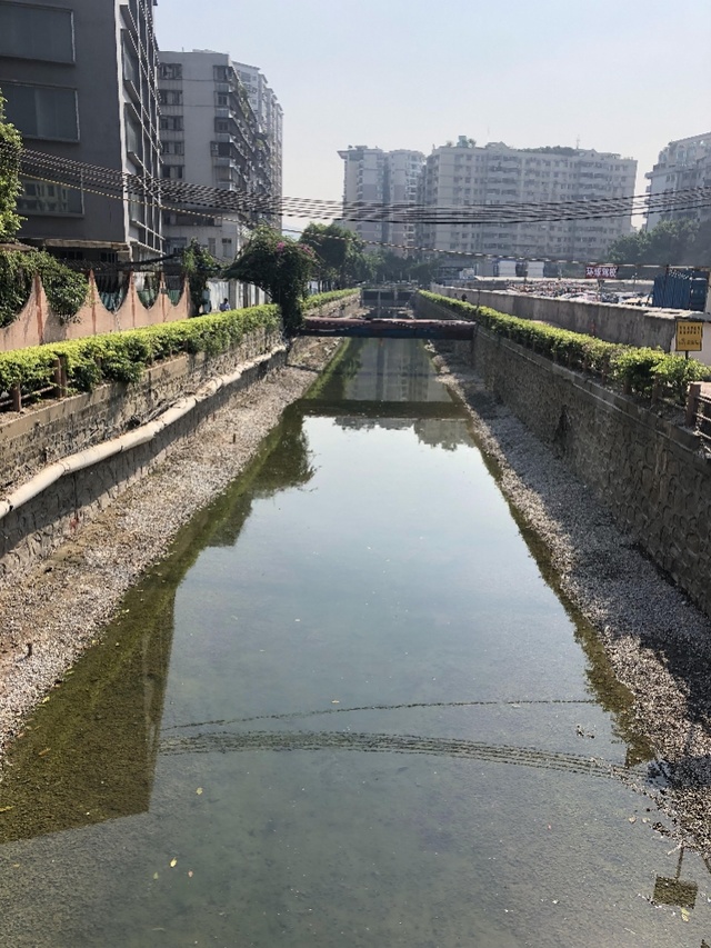广佛跨界河流整治显成效,鸦岗断面水质从劣v类提至iv类_广州