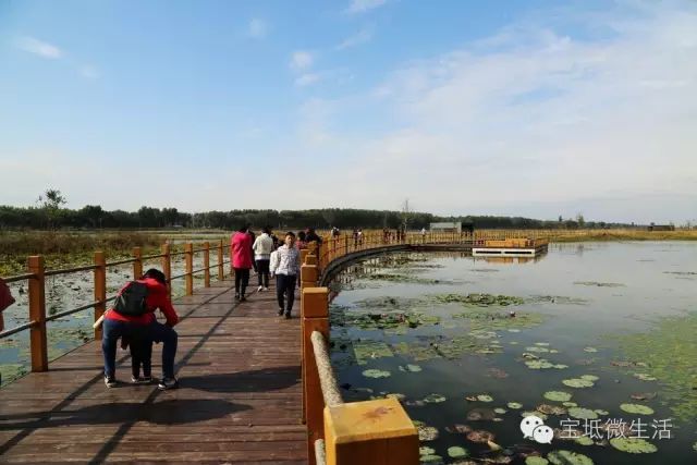 宝坻潮白河湿地公园通过验收,成为首批级湿地公园!