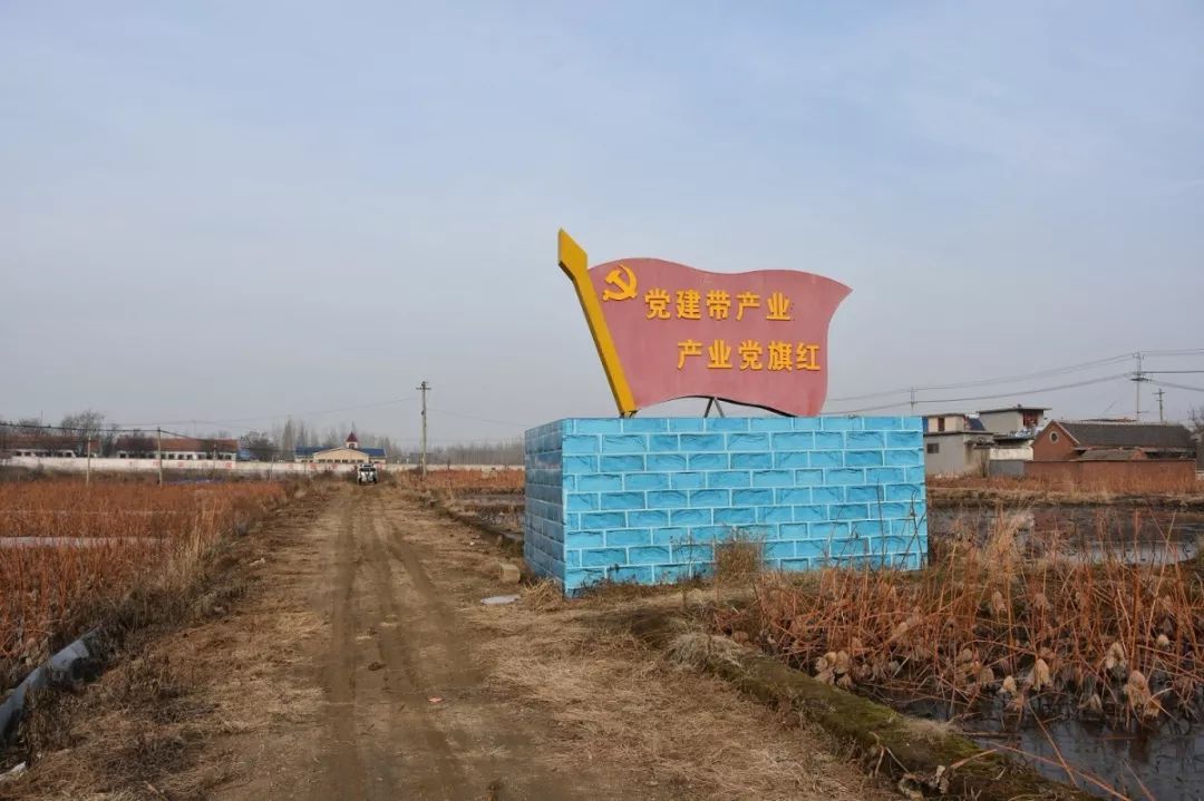 姚村镇经济总量_姚村镇薛村小学图片(2)