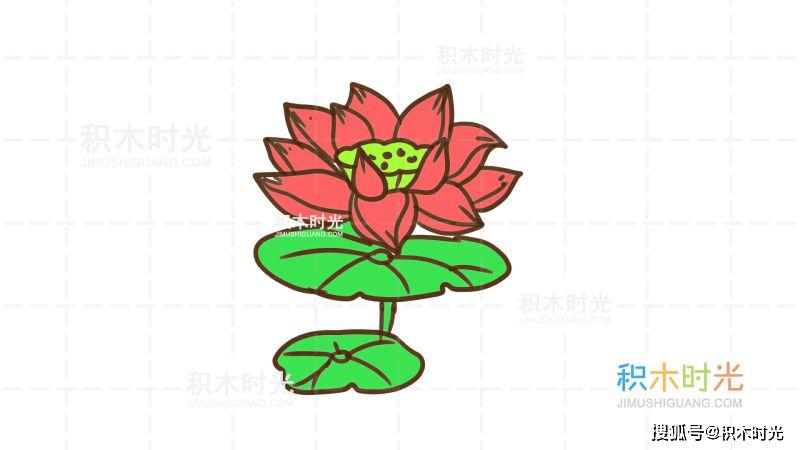 又名莲花,水芙蓉等.是莲属多年生水生草本花卉.