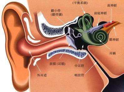 杨丽大夫是治疗耳鸣耳聋的专家吗?治好了很多了人