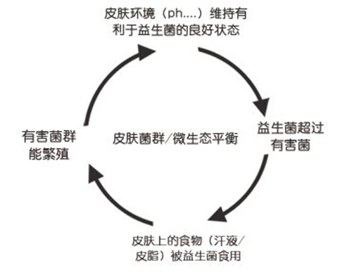 e88a41a2574344aca368cd7747a142ab.png