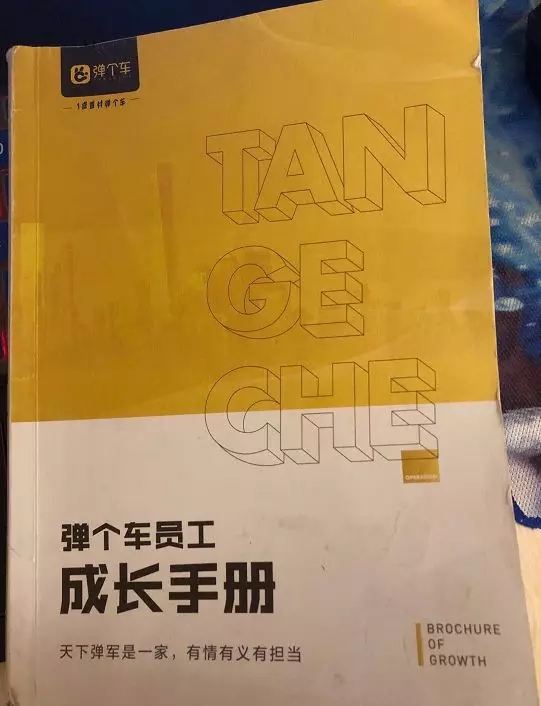 内参怎么写