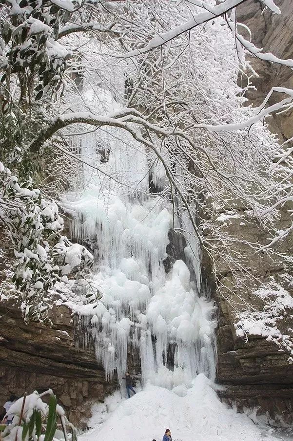 断崖式降温,是时候解锁宁强冬季最美雪景地!