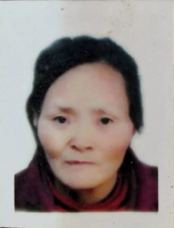 东阿大桥人口_武汉长江大桥(3)