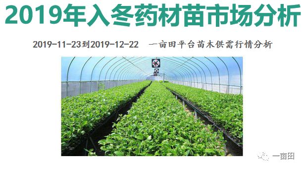 广西农业和林业gdp比较_玉东新区管理委员会 广西壮族自治区人民政府办公厅关于印发广西农业和农村经济发展 十三五 规划(2)