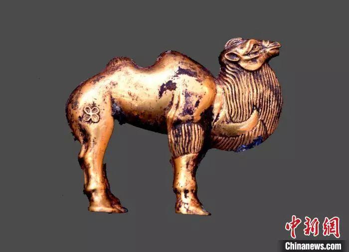 秦始皇陵考古新进展：出土“金骆驼”等大批珍贵文物