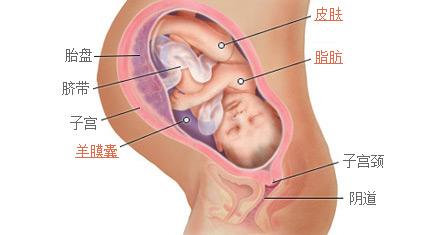 孕39周拉肚子怎么办