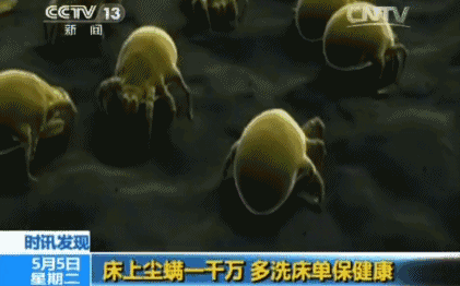 09c51a0ebaf94471b2961dacc09a022f.gif