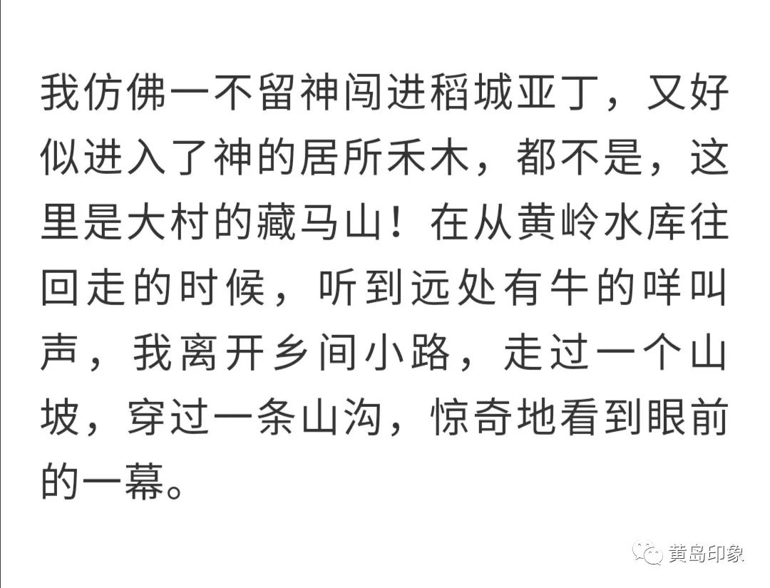 大理市常住人口_31省份常住人口排行榜 广东山东过亿,四省份负增长(2)