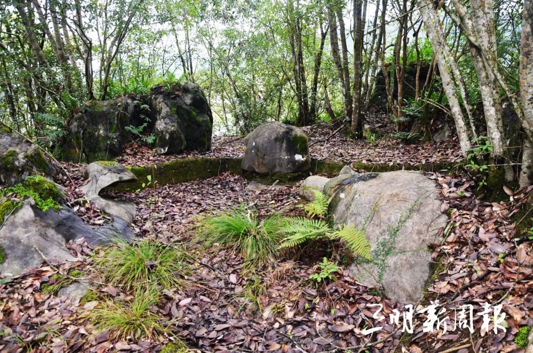 三明绿岩人口_三明沙县马岩山庄(2)