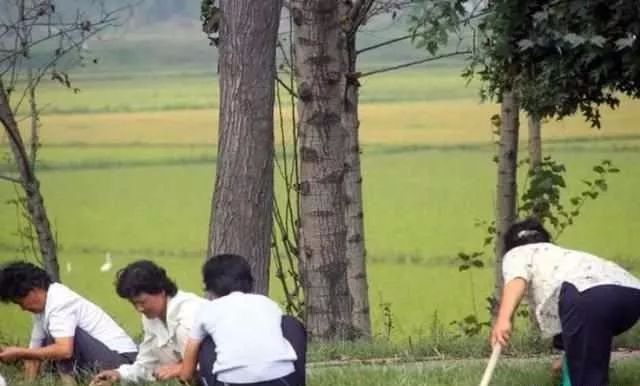 挖路长gdp(2)