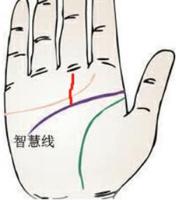 什么是事业线图片 3dcc753c79db4a299f621c84d30df660.jpeg