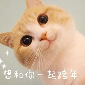怎么给别人送表情包 3e30cd14cca649cead6ab114043aaa62.jpeg