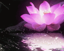 文殊菩萨传奇
