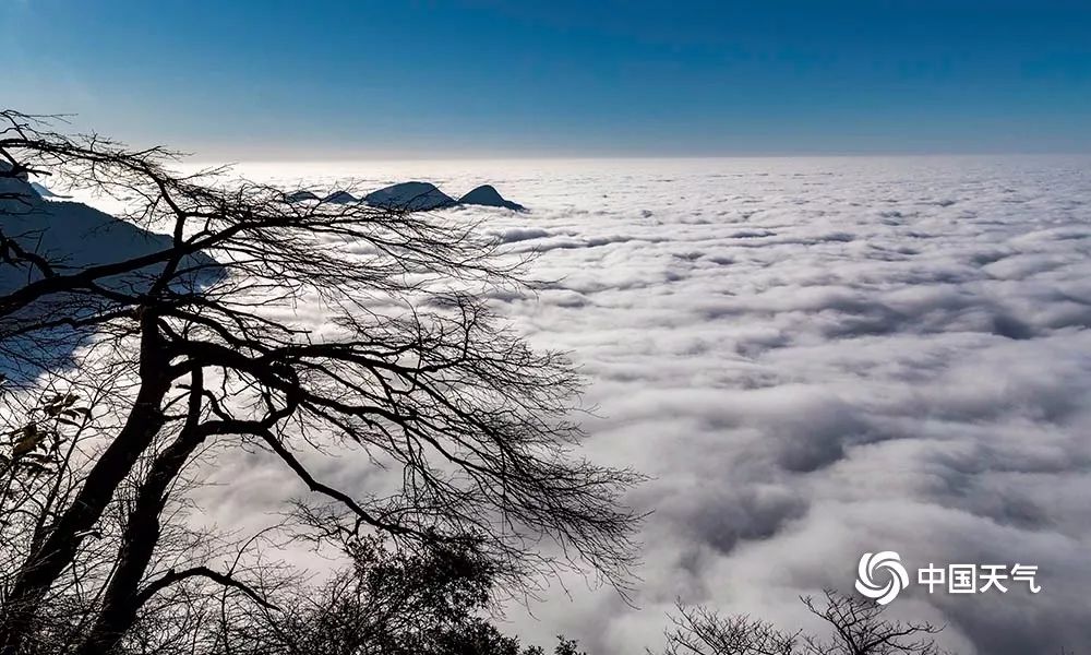 美图| 如梦如幻!重庆金佛山现云海奇观