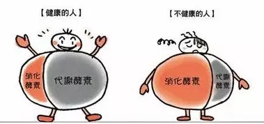 58935d511a354abfa2c32c41091a501e.jpeg
