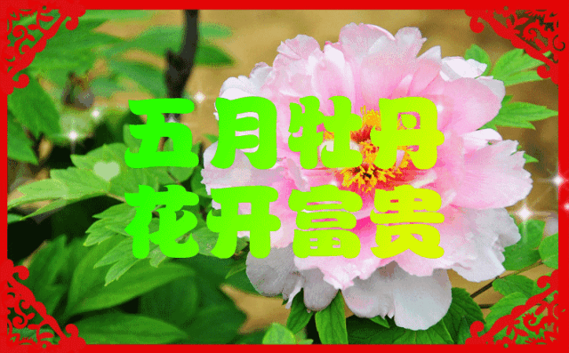今天是2019年最后一天,祝福送上,快打开,为2020开个好