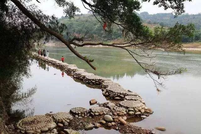 榆树人口有多少人口_榆树盆景(3)