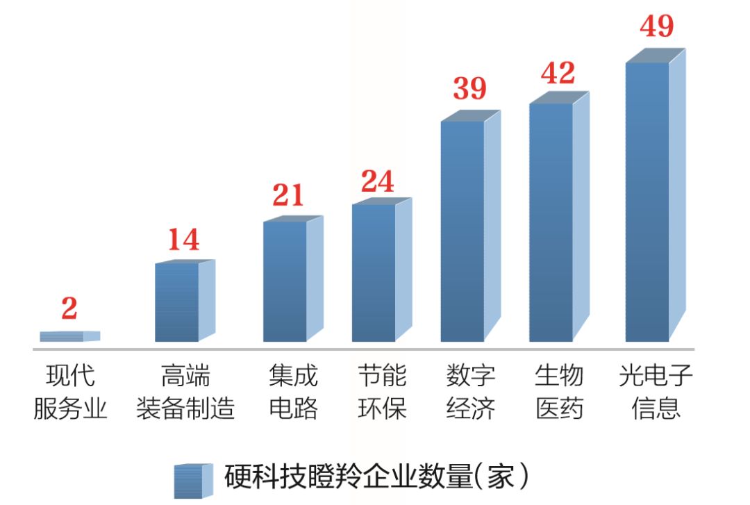 2018年光谷经济总量_世界经济总量图片