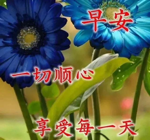 【早上好祝福图片 元旦问候句子】