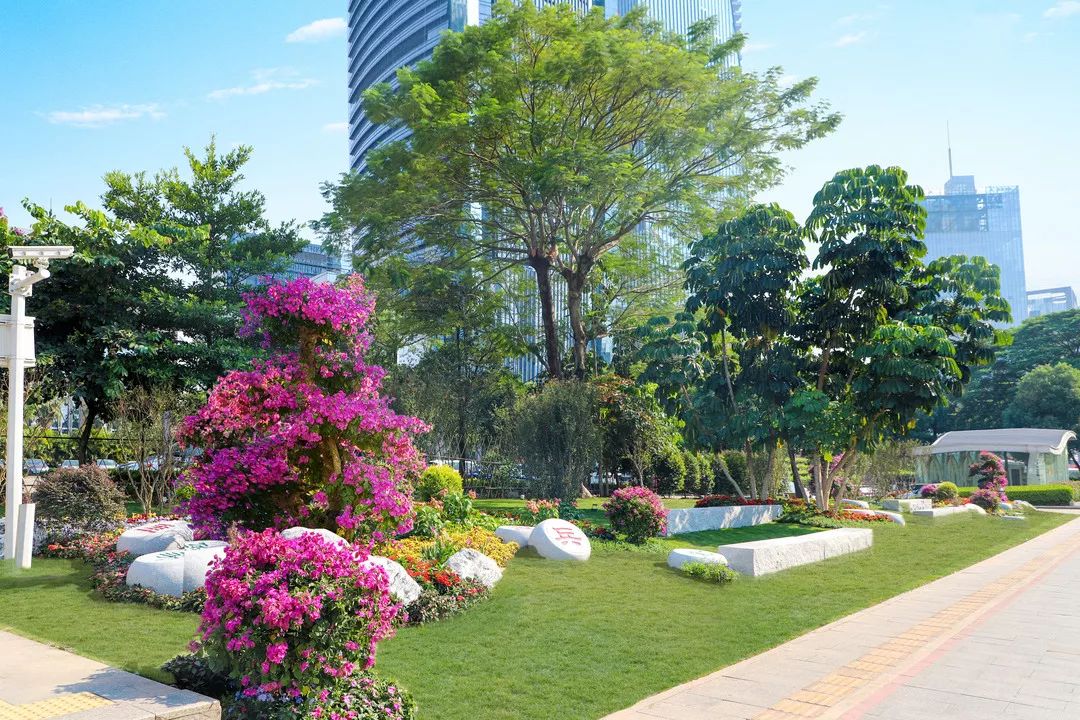 街头摆花,街头小景,蛤地广场与 东莞迎宾馆主要园路重要地块绿化景观