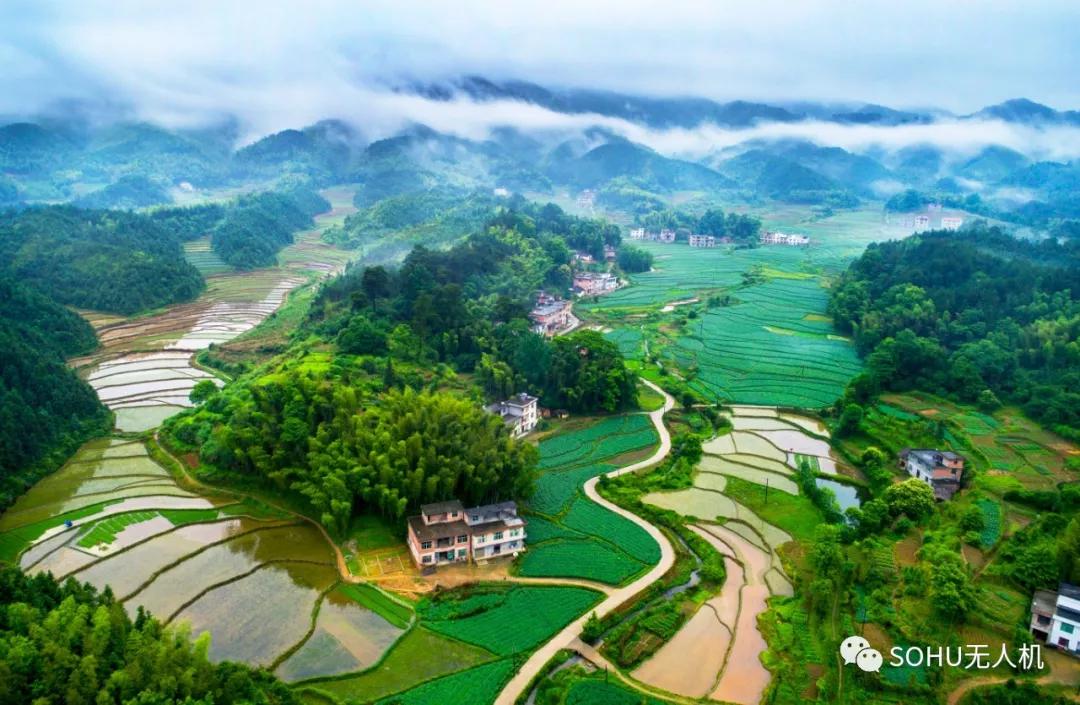 宜春地处赣西北山区向赣抚平原过渡地带,地形复杂多样,地势自西北向