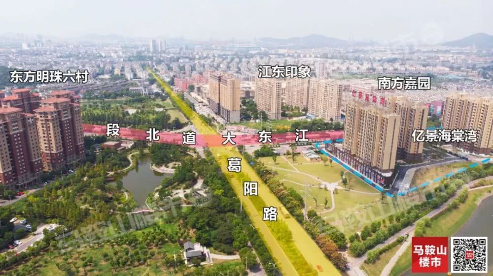 泰和人口增多_泰和乌鸡