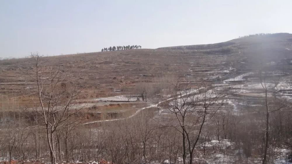 石家河人口_石家河玉器(2)
