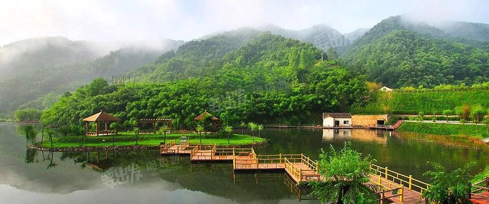 河南省森林特色小镇分为森林康养型,生态旅游型,生态绿化型,特色产业