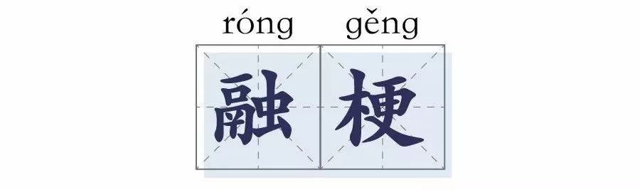 「中视体育」【特辑】2019 定格中视体育的精彩记忆