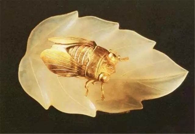 代表|考古发现1男4女合葬，墓中女子身上有一只“蝉”，专家不胜欢喜