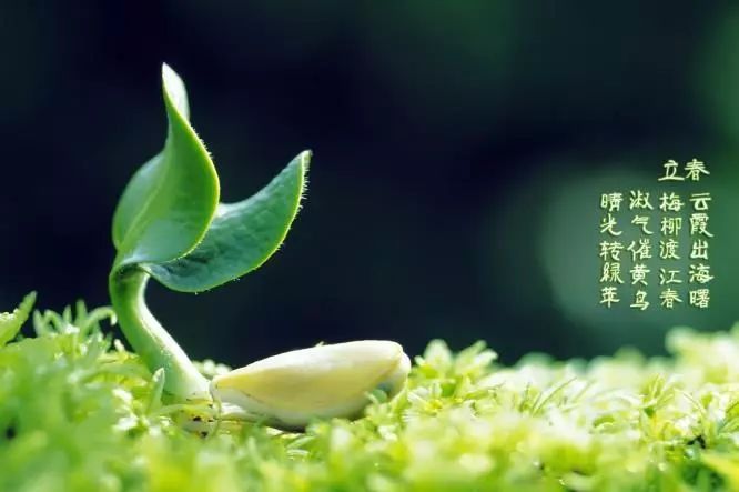 2019年我装了一年的孙子，2020年我决定继续装下去