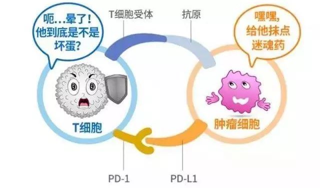 中医催吐是什么治疗原理_催吐用什么工具(2)