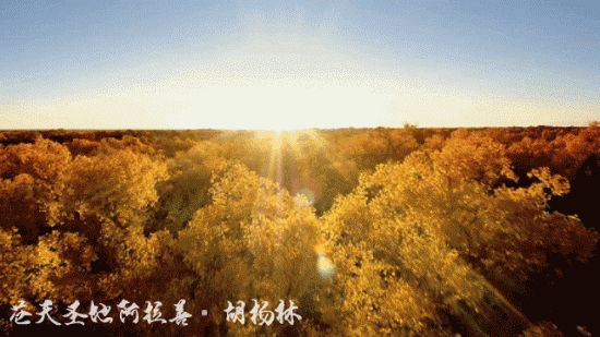 c33e5c94e38a475e92a34cd414722715.jpeg