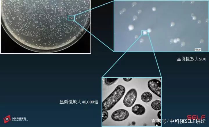 人均塑料需求_塑料