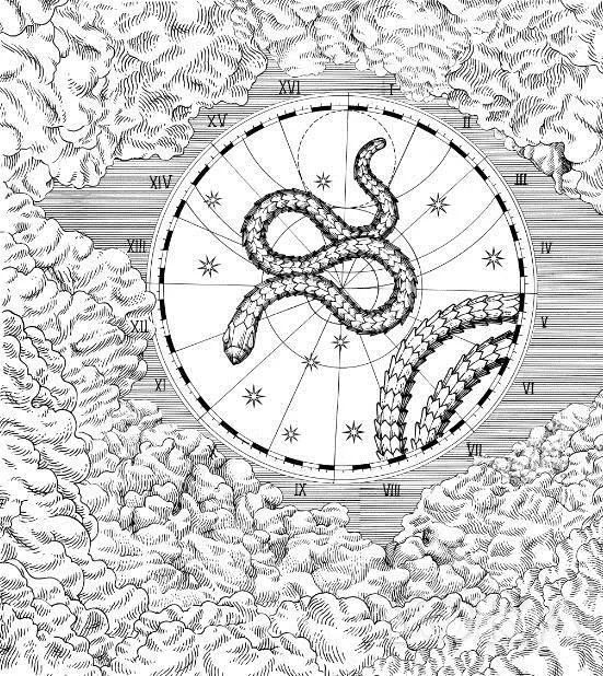 梦境中的生日奇遇,蛇的温柔守护与内在寓意 梦境中的生日奇遇,蛇的温柔守护与内在寓意