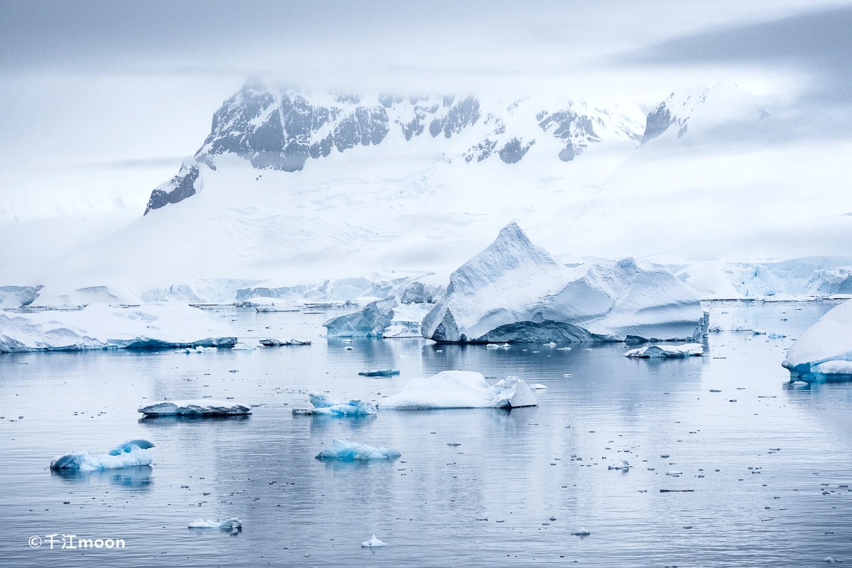 科学家在南极冰层之下发现雨林遗迹_凤凰网