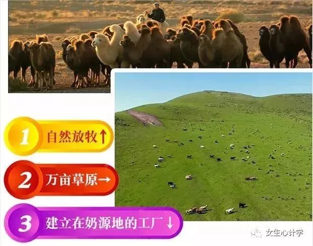 ee6c7ade6ca74845a0472206bdaec2a6.jpeg