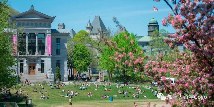 加拿大留学|2019年终政策变化盘点及2020年留