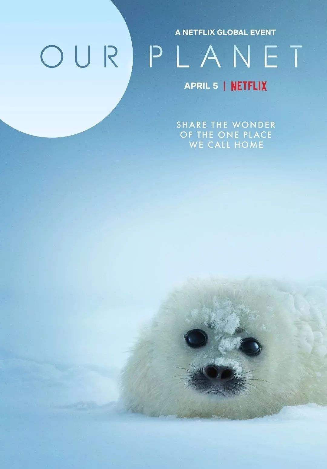 爆肝整理!2019终极影视榜单