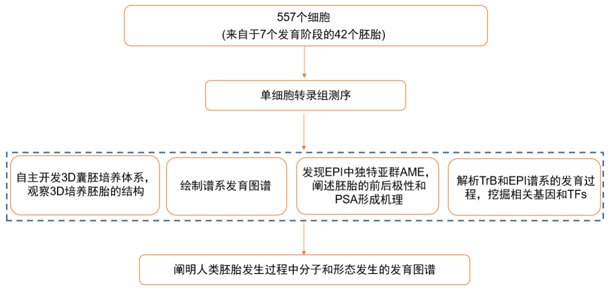 人口形态学_细胞形态学(2)